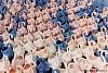 Swans staged for shipping.