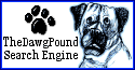 The Dawg Pound Search Engine